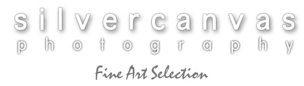 silvercanvas photography